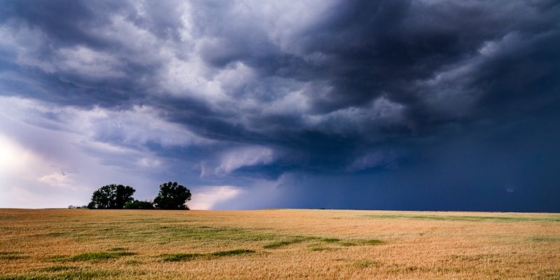 Dark storm clouds over a garden with trees bending in the wind