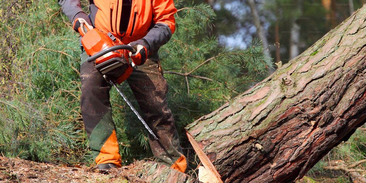 Stump Grinding
